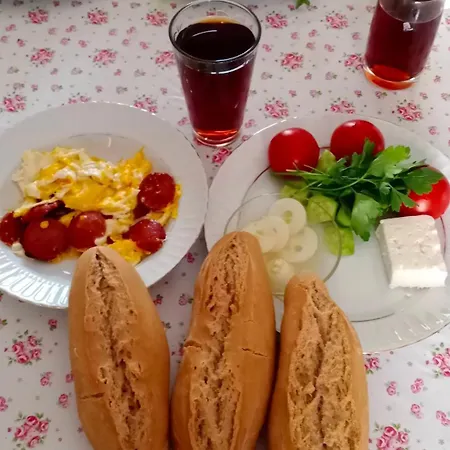Oezcelik בית נופש אלאניה